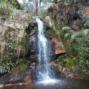 Huitaca, Recorridos ambientales y artísticos en Bogotá